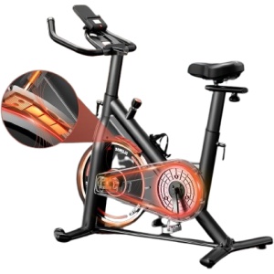 SLUNSE Exercise Bike, Adjustable Magnetic Resistance Stationary Bike, Indoor Cycling Bike Compatible with Kinomap, Comfortable Seat Cushion, iPad Holder, LCD Monitor for Home Workout